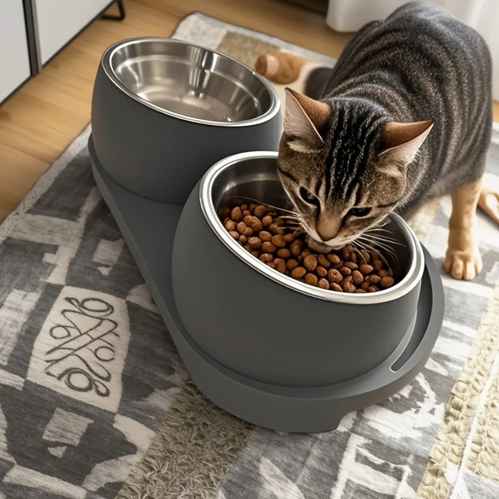 Heavy-duty Modern Elevated Dual Pet Food and Water Bowls • Detachable and Easy to Clean • Space-saving Dual-compartment Feeding