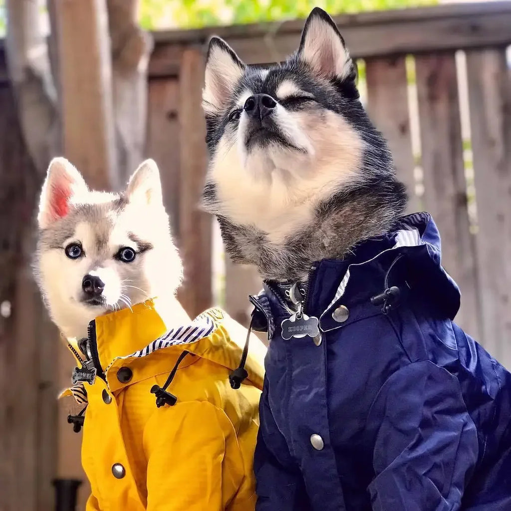 Fashion Multi Colors Dog Rain Coat Pet Waterproof Jacket S-5XL Medium Large Dog Clothing Hoodies