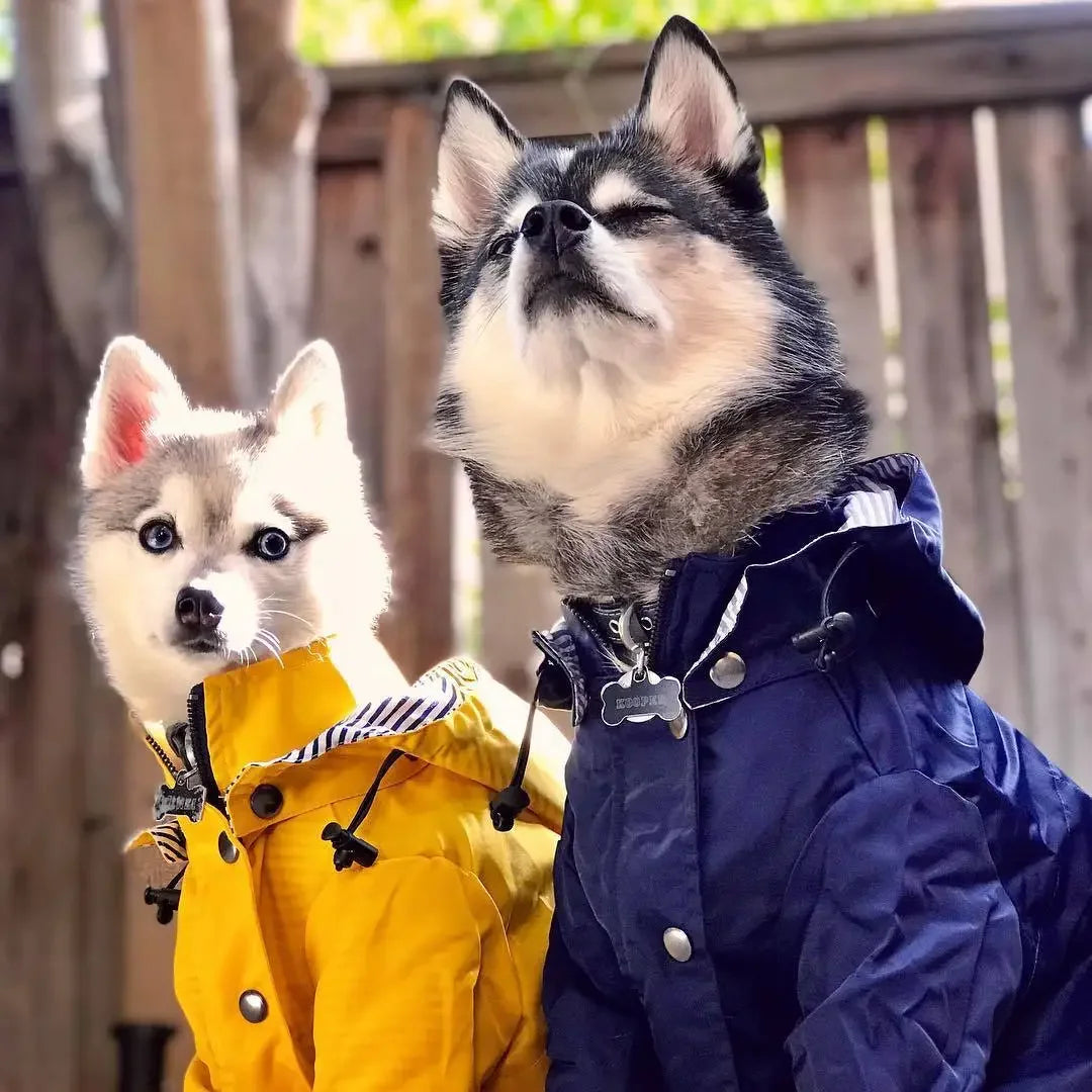 Fashion Multi Colors Dog Rain Coat Pet Waterproof Jacket S-5XL Medium Large Dog Clothing Hoodies