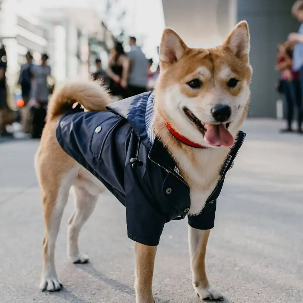 Fashion Multi Colors Dog Rain Coat Pet Waterproof Jacket S-5XL Medium Large Dog Clothing Hoodies